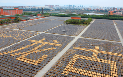 以創(chuàng)意賦能 展國企風(fēng)貌 廈門輕工集團亮相第十七屆海峽旅游博覽會,摘取兩項大獎