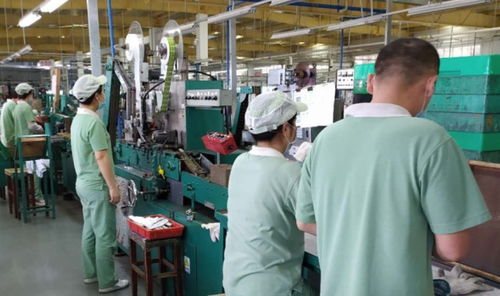 廣州輕工集團(tuán) 以創(chuàng)新驅(qū)動(dòng)高質(zhì)量發(fā)展，譜寫輕工業(yè)新篇章