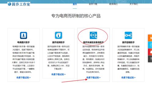 教你批量查詢快遞物流信息，一眼發現異常件——信息技術咨詢服務指南